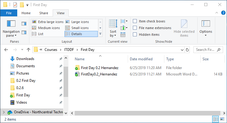0.2 First Day 2 Snip View